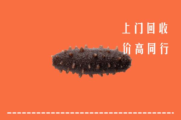 高价求购：石林县回收海参